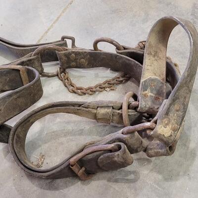 Lot 141: Vintage Horse Tack Bundle ã€ŠCã€‹