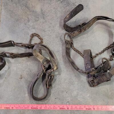 Lot 141: Vintage Horse Tack Bundle ã€ŠCã€‹