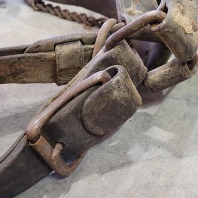Lot 141: Vintage Horse Tack Bundle ã€ŠCã€‹