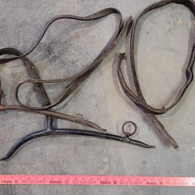 Lot 151: Vintage Horse Tack Bundle ã€ŠDã€‹