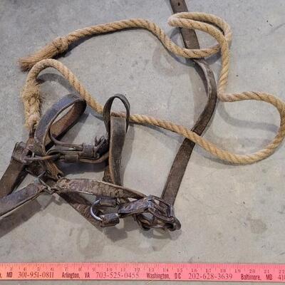 Lot 153: Assortment of Vintage Horse Tack ã€ŠEã€‹