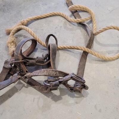 Lot 153: Assortment of Vintage Horse Tack ã€ŠEã€‹