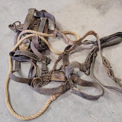 Lot 153: Assortment of Vintage Horse Tack ã€ŠEã€‹