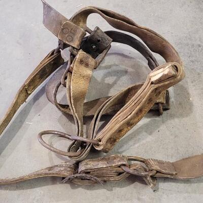 Lot 153: Assortment of Vintage Horse Tack ã€ŠEã€‹