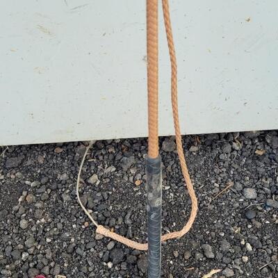 Lot 155: Equestrian Training Whip