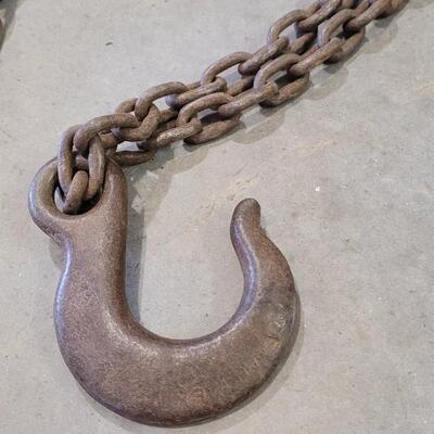 Lot 160: Large Chain Link Line w/ (2) Hooks 