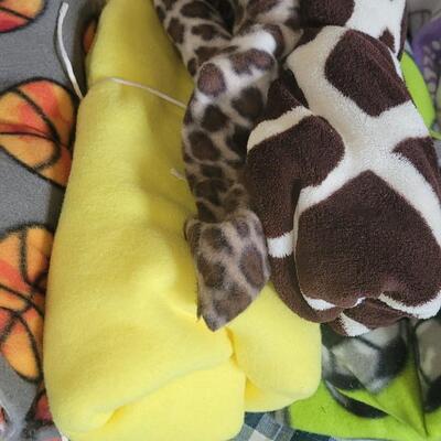 Lot 165: Fleece Fabric Lot A