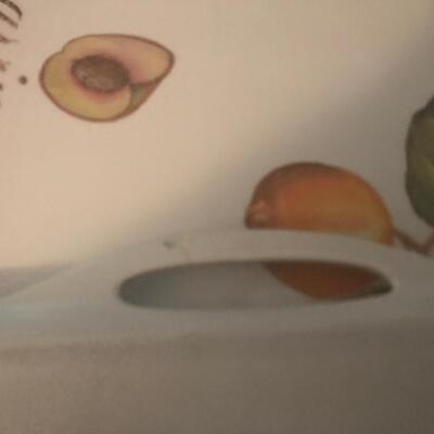 VILLEROY & BOCH MELLAMINE  FLORAL & FRUIT SERVING TRAYS