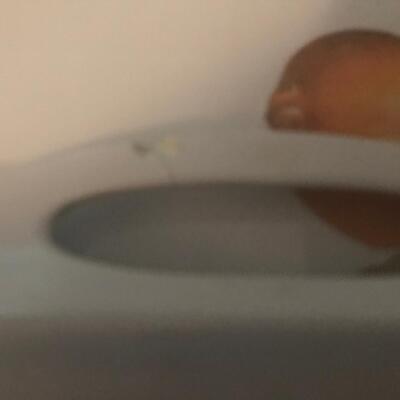 VILLEROY & BOCH MELLAMINE  FLORAL & FRUIT SERVING TRAYS