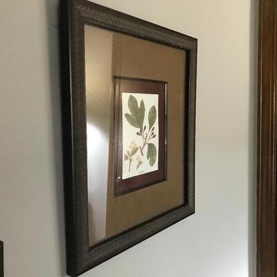 3 FRAMED LEAF PRINTS