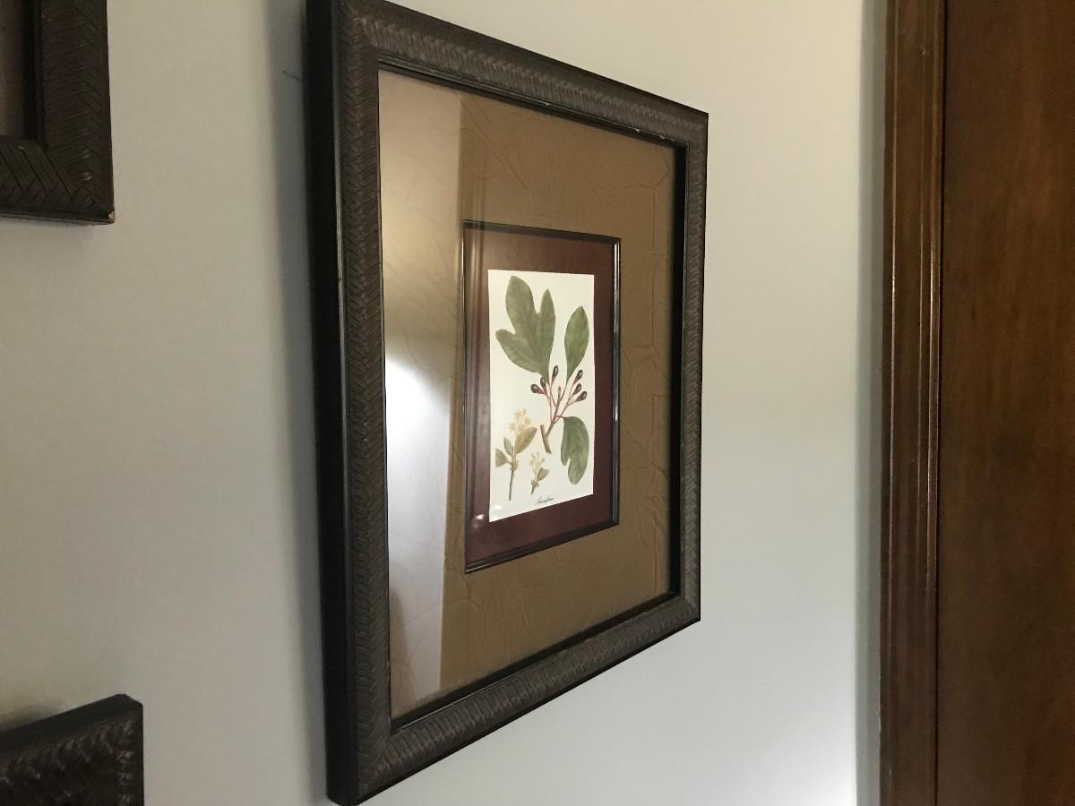 3 FRAMED LEAF PRINTS