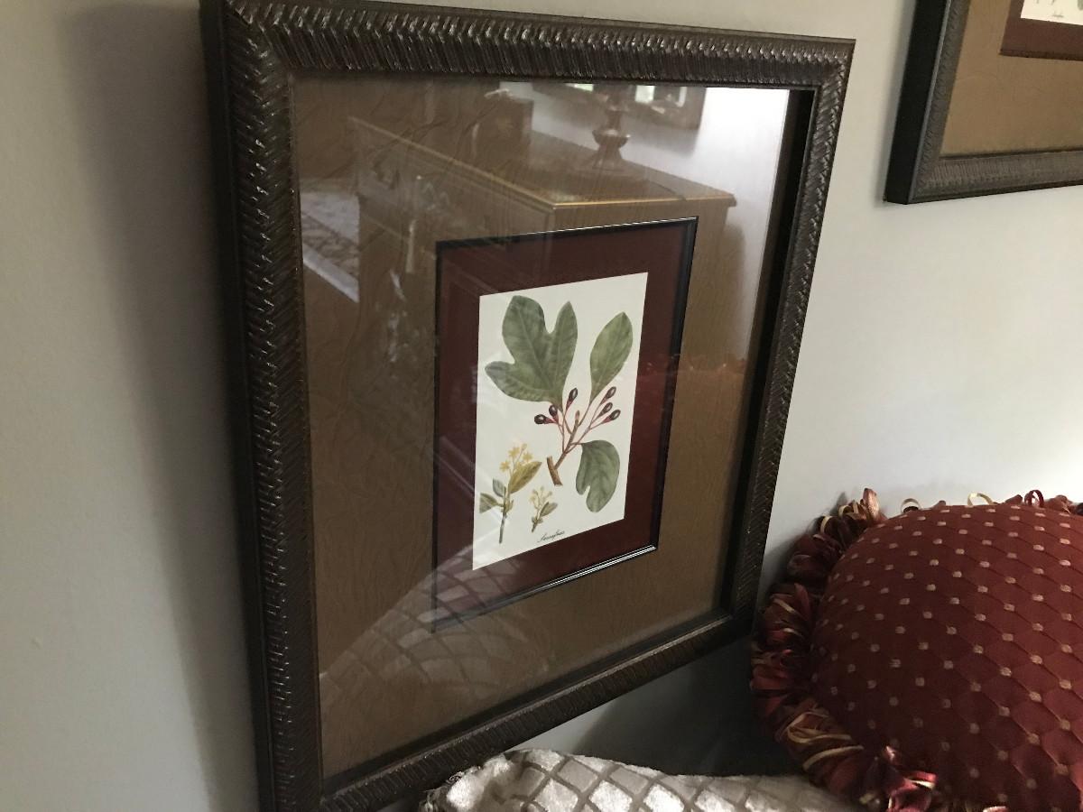 3 FRAMED LEAF PRINTS
