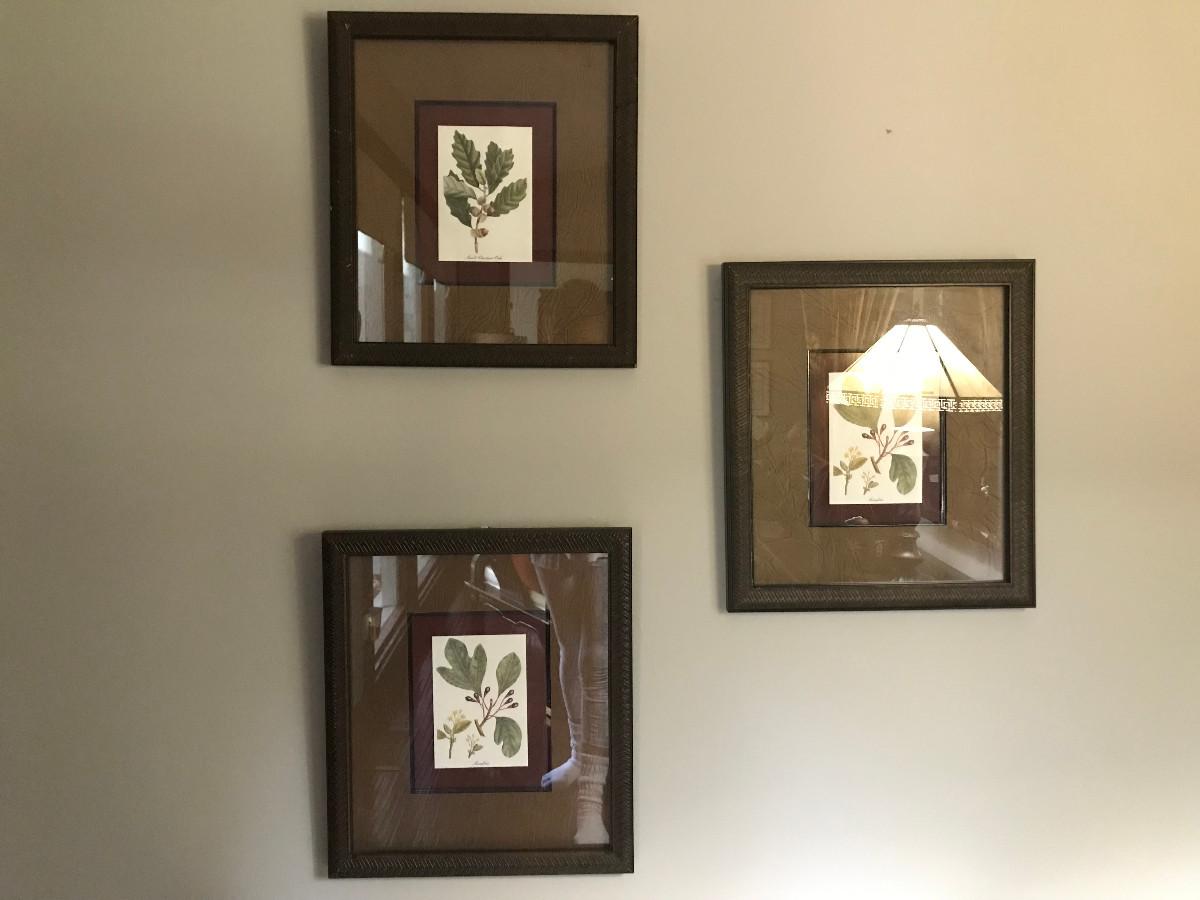 3 FRAMED LEAF PRINTS