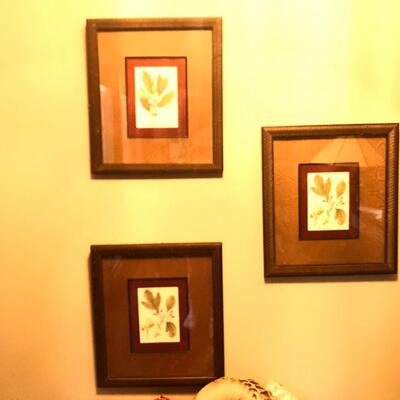 3 FRAMED LEAF PRINTS