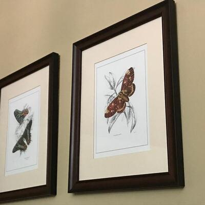 3 PC FRAMED BUTTERLFY PRINTS