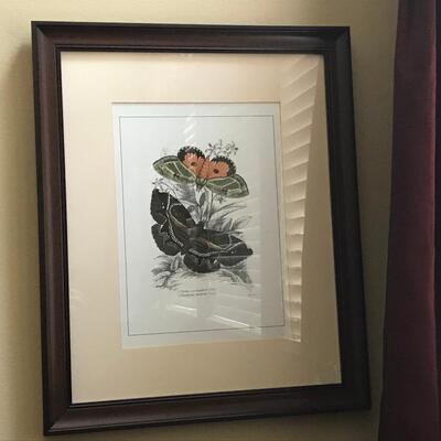 3 PC FRAMED BUTTERLFY PRINTS
