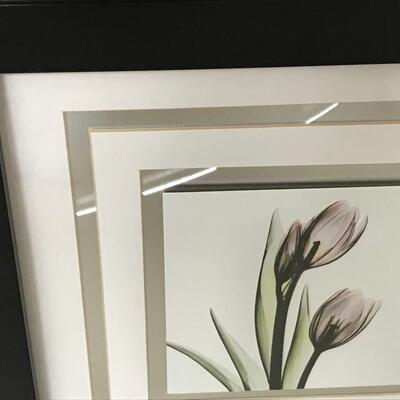 2 PC BLACK & WHITE FRAMED TULIP PRINTS