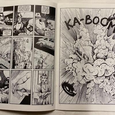 AP Atlantic Press Alternatives, Nick Ryan The Skull, #1