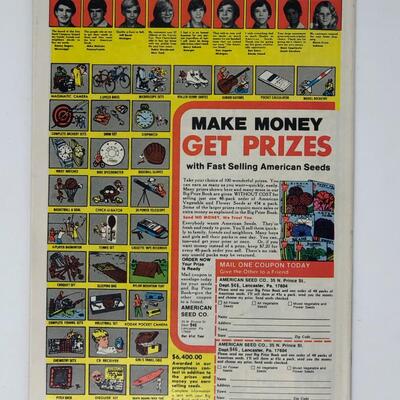 MARVEL THE HUMAN FLY no 19 