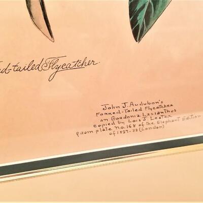 Lot #125  Lois J. Lester Handcolored Bird Print - after John Audubon