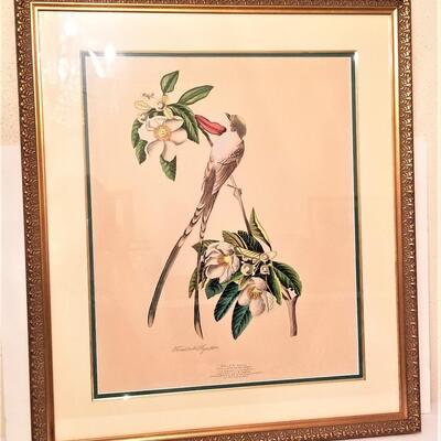 Lot #125  Lois J. Lester Handcolored Bird Print - after John Audubon