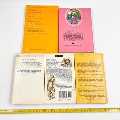 CHILDRENâ€™S FICTION PAPERBACK BOOK LOT #2