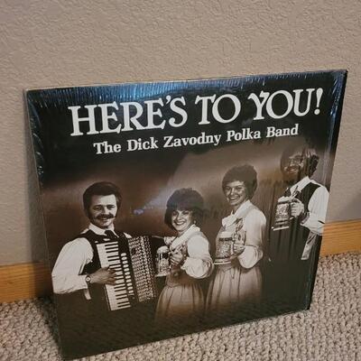 Lot 260: (5) Assorted POLKA Vintage Vinyl Records