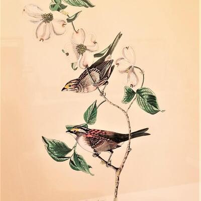 Lot #177  Lois J. Lester Hand Colored Bird Print "White Throated Sparrow"
