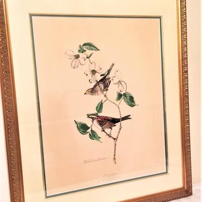 Lot #177  Lois J. Lester Hand Colored Bird Print "White Throated Sparrow"