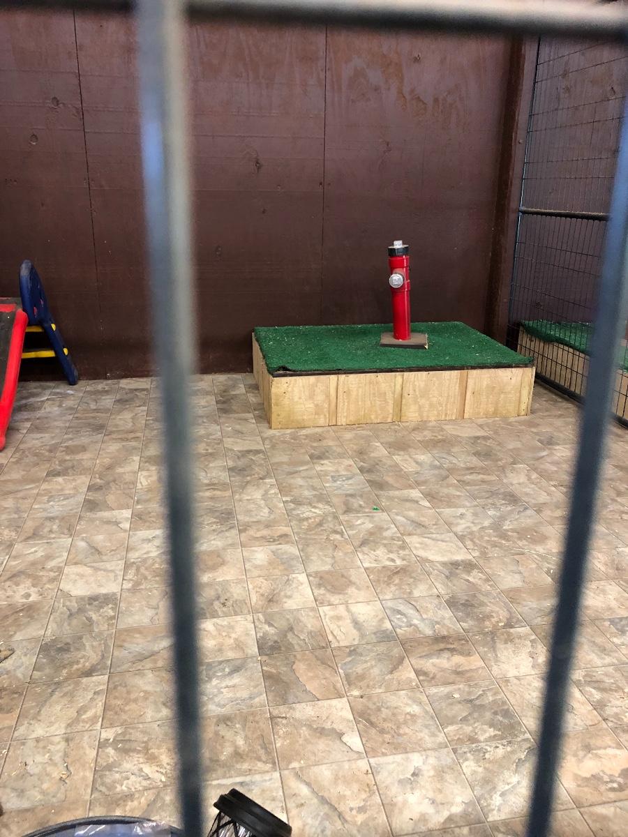 Handmade outdoor potty training station for dogs