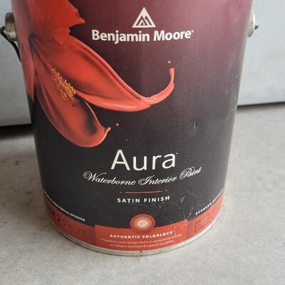 Lot 299: Aurora RIVER GORGE GRAY Paint