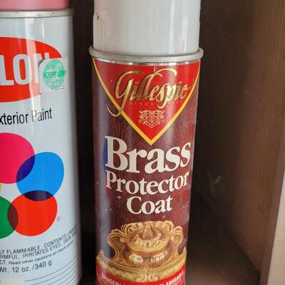 Lot 306: Spray Paint Lot