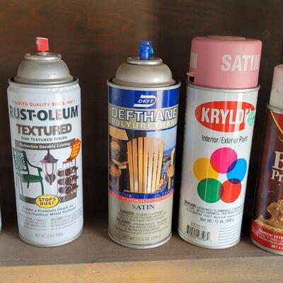 Lot 306: Spray Paint Lot