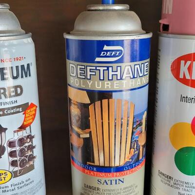 Lot 306: Spray Paint Lot