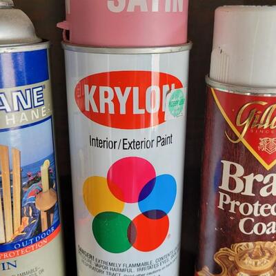 Lot 306: Spray Paint Lot
