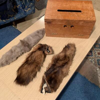 #271 Wooden Ballot Box & Animal Fur