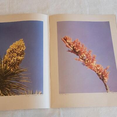 Lot 24: Vintage "Indians and Scenes of the Southwest" and "Arizona Highways" Paperback Books