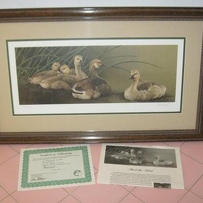 Lot 139 MSAA Framed Print by Sherrie Russell Canadian Goslings Signed Limited Ed. CofA