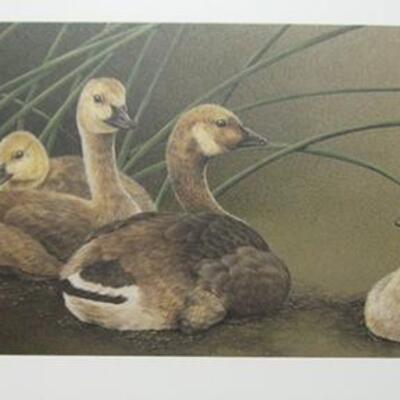 Lot 139 MSAA Framed Print by Sherrie Russell Canadian Goslings Signed Limited Ed. CofA