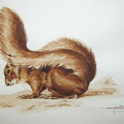 Lot 140 MSAA Framed Watercolor Jacques Cartier (1907 - 2001) Brown Squirrel Listed Artist