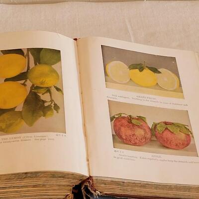 Lot 180: 1925 Library of Health Book