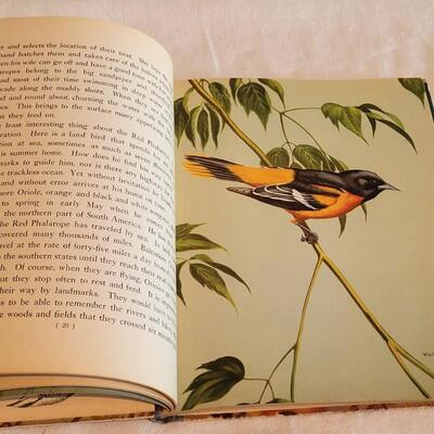 Lot 191: 1933 "Traveling with the Birds" Book with Pictures