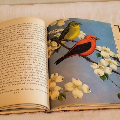Lot 191: 1933 "Traveling with the Birds" Book with Pictures
