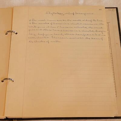 Lot 192: 1928 Plant Study Student Work Book By W.H.D. Meier A.M., Ph.D. 