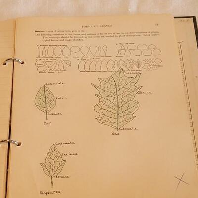 Lot 192: 1928 Plant Study Student Work Book By W.H.D. Meier A.M., Ph.D. 