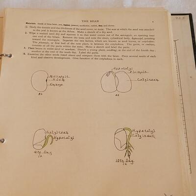 Lot 192: 1928 Plant Study Student Work Book By W.H.D. Meier A.M., Ph.D. 