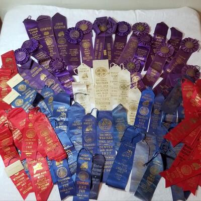 Lot 197:  Vintage 1930's Horse Competition - Show Ribbons & 1 Cow 
