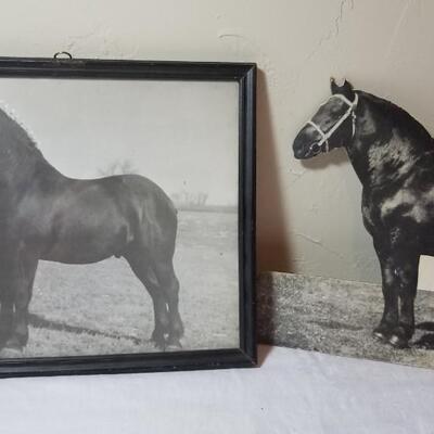 Lot 198: 1930's Windsor, Colorado Show Horse Framed Photo, Loose Photo and Cardboard Cut Out