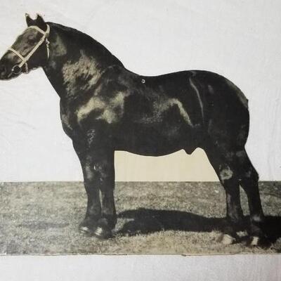 Lot 198: 1930's Windsor, Colorado Show Horse Framed Photo, Loose Photo and Cardboard Cut Out