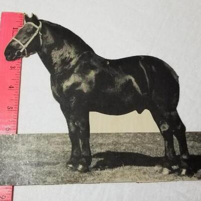 Lot 198: 1930's Windsor, Colorado Show Horse Framed Photo, Loose Photo and Cardboard Cut Out